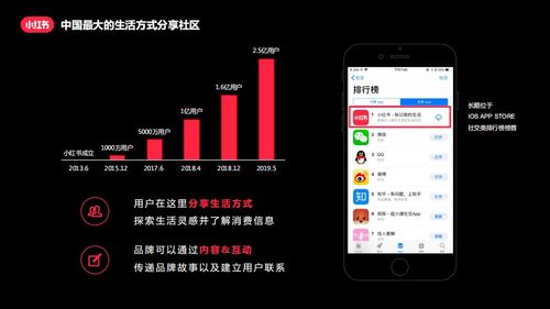 小红书出单优化策略：提升曝光与转化率的关键点