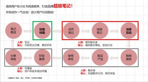 小红书关注新功能启用教程：轻松掌握开启方法