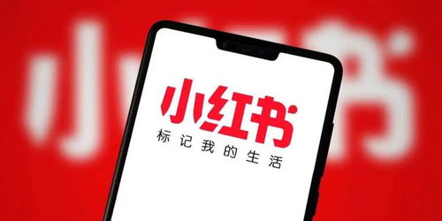 小红书专辑分类创建方法全攻略