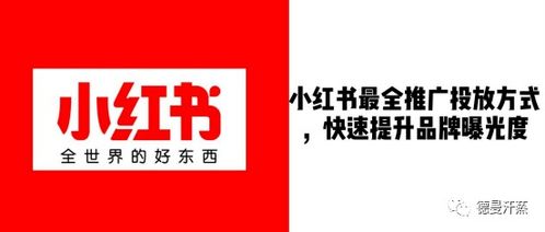 小红书怎么查收藏记录