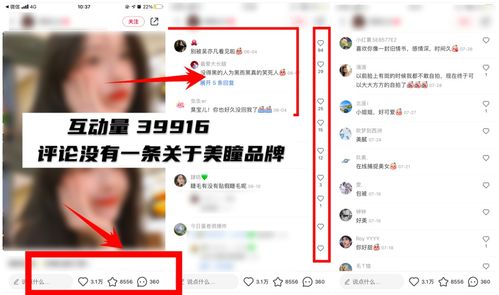 小红书上热门秘诀：教你如何炖出鲜嫩多汁的牛肉