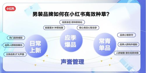 小红书怎么查账号信息呢