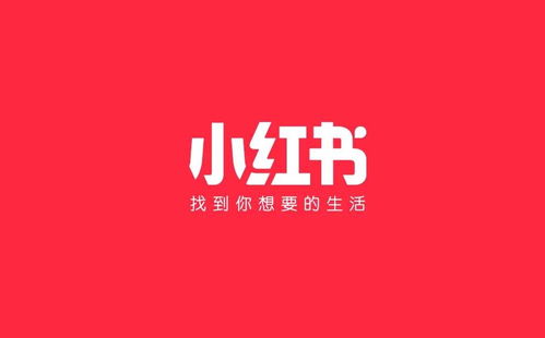 小红书中蒲公英标签的查找与利用