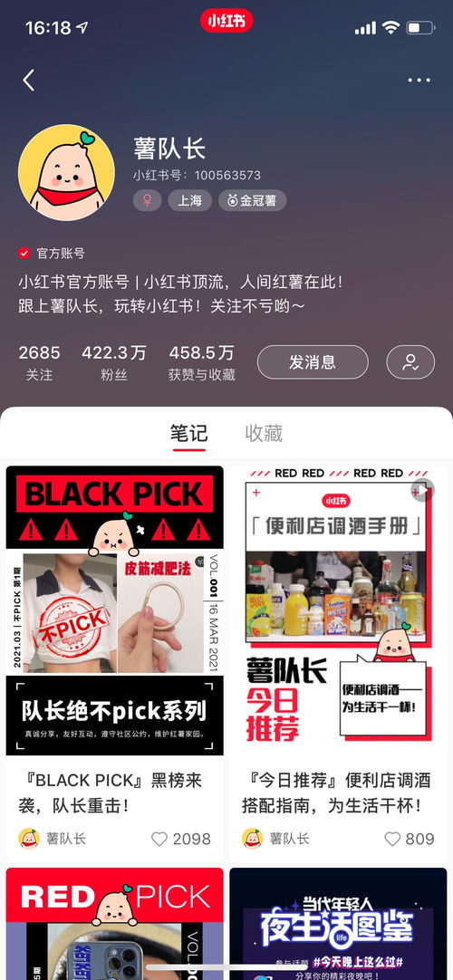 小红书好物体验升级攻略