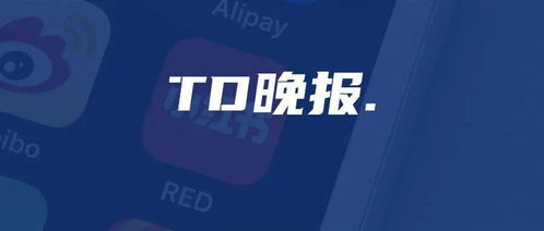 小红书怎么套用模板赚钱