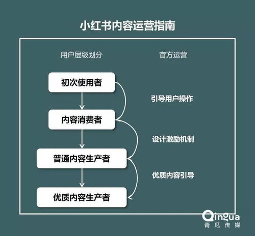 小红书点赞提醒设置方法全攻略