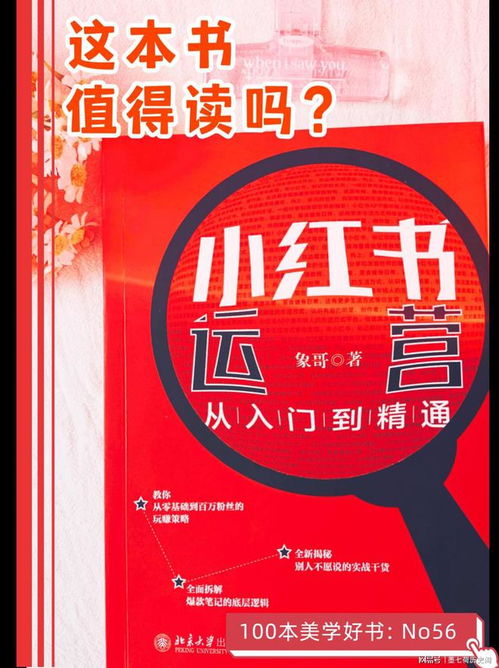 小红书同城置顶攻略：提升曝光率的秘密武器