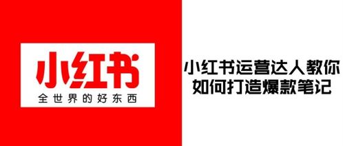 小红书搜索信息删除方法详解