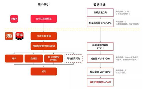 小红书分类收藏视频查看方法详解