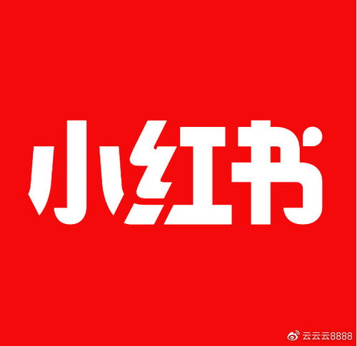 小红书怎么争取