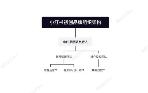 小红书发布综艺作品视频：步骤与技巧解析