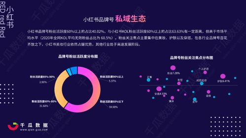 小红书内容搜索与赚钱策略解析