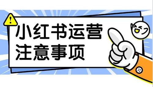 小红书关注静音播放设置方法详解