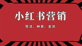 小红书新人购物指南：从入门到精通