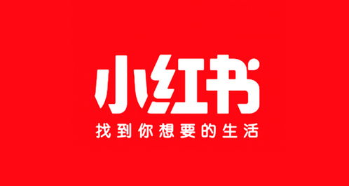 小红书的回复怎么发