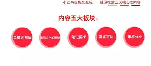 小红书任务接取攻略：轻松掌握任务接取技巧